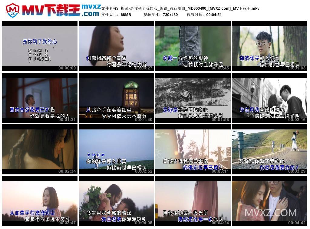 梅朵-是你动了我的心_国语_流行歌曲_MD303400